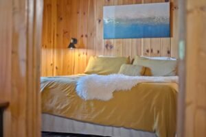 ScpZ1kDfbDTfsEX3zdcbhNshCnqe3Zvw4jLyTrS5