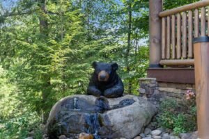 hISCmKp93Y7jpylTaHOWrTHAsHyNRecVS8oQIGHE