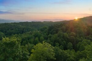 lM1QOl9i49kAystcbP86qlHXpBPjGA7yJf1YJc8j