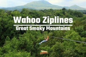 cIekleSWizbnEL594vo3SQHT3NF59hM0SysBHiJH