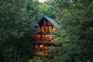 fIFNHFWV9lTuyg4UeWzJ5ZPMs81ARZnvfnqe2m3d