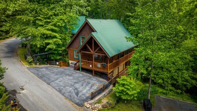 A Bear’s Hideaway